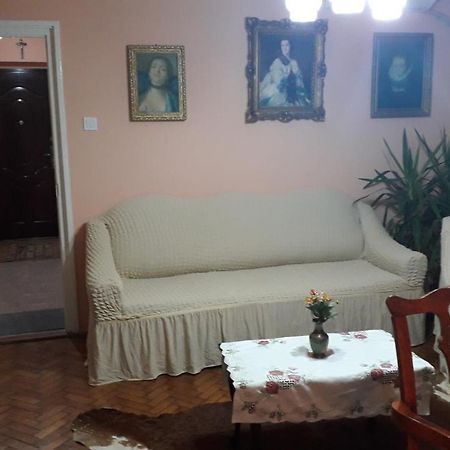 Cozy, Central 1-Bedroom Apartment In Timisoara, Romania Kültér fotó