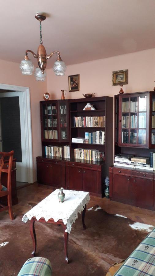 Cozy, Central 1-Bedroom Apartment In Timisoara, Romania Kültér fotó
