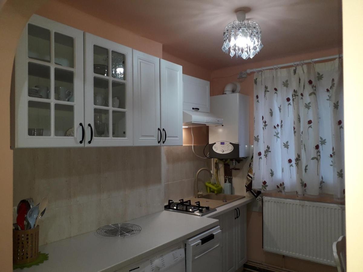 Cozy, Central 1-Bedroom Apartment In Timisoara, Romania Kültér fotó