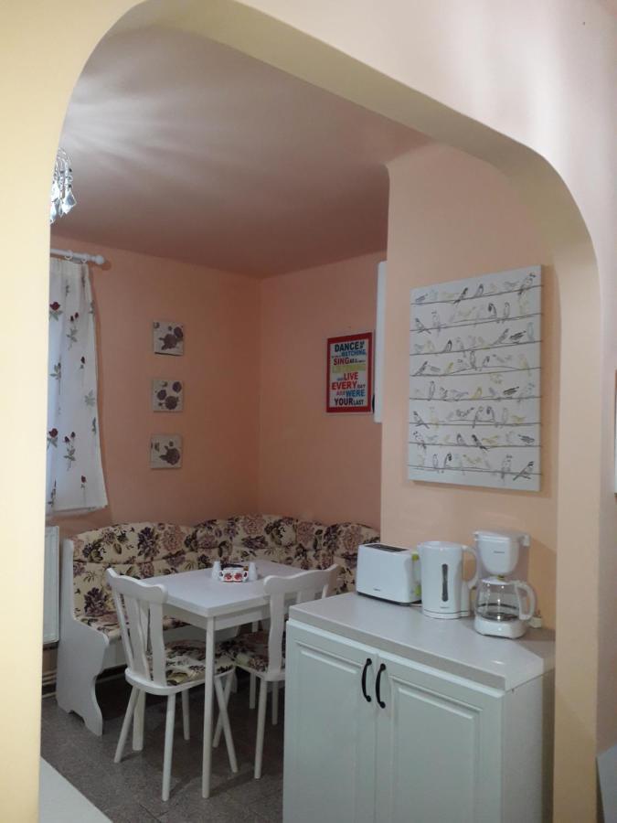 Cozy, Central 1-Bedroom Apartment In Timisoara, Romania Kültér fotó