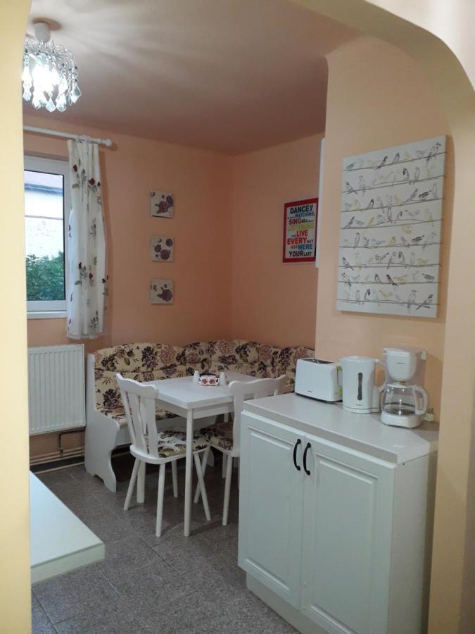 Cozy, Central 1-Bedroom Apartment In Timisoara, Romania Kültér fotó