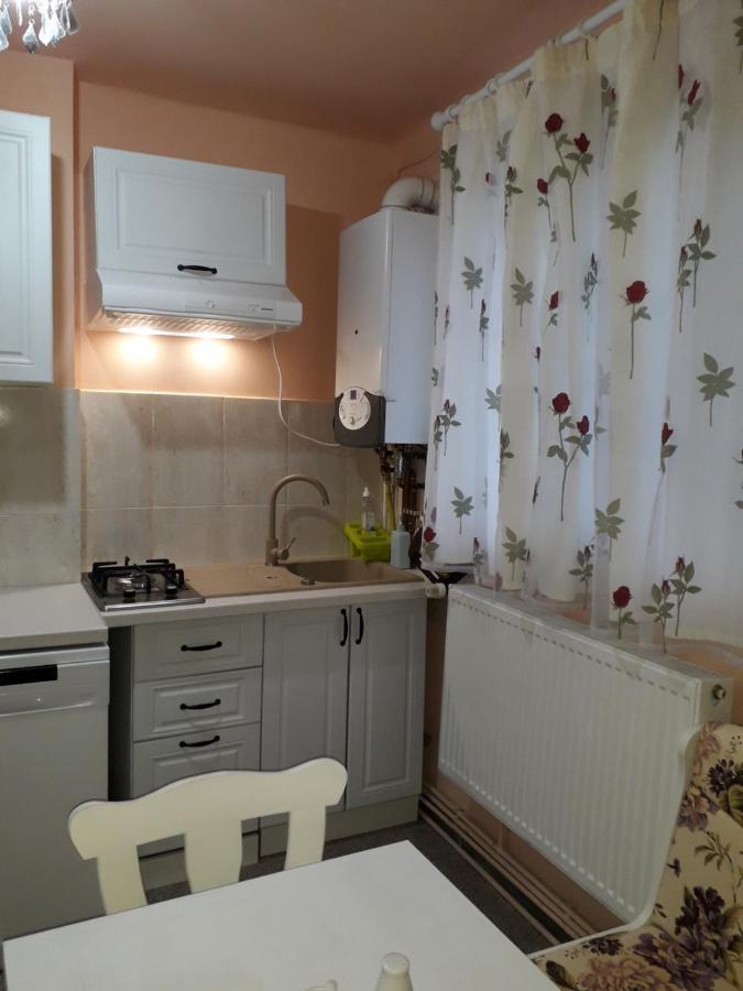 Cozy, Central 1-Bedroom Apartment In Timisoara, Romania Kültér fotó