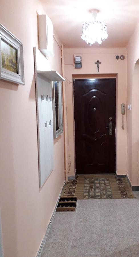 Cozy, Central 1-Bedroom Apartment In Timisoara, Romania Kültér fotó