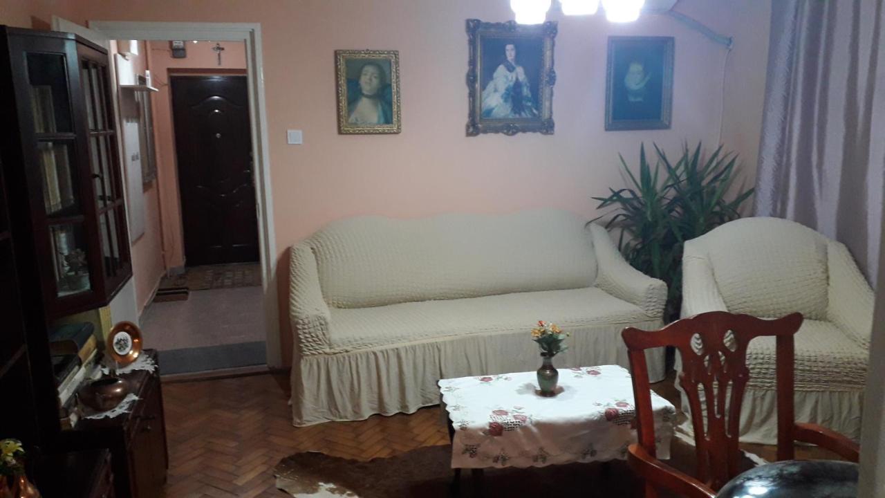 Cozy, Central 1-Bedroom Apartment In Timisoara, Romania Kültér fotó